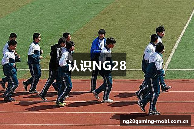 认识NG28